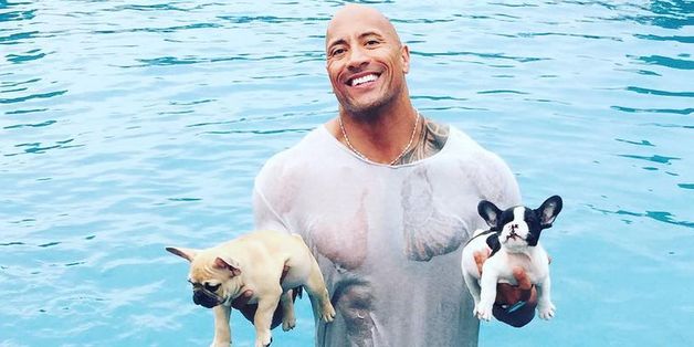 Dwayne 'The Rock' Johnson Saves Puppy From Drowning