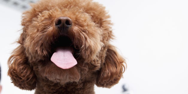 Here's A Really Simple Guide To Happiness