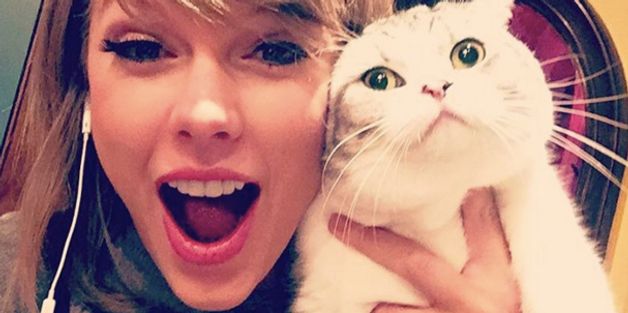 2015, As Reviewed By Taylor Swift's Cats