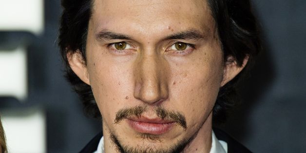 Does This Cat Look Exactly Like Adam Driver?