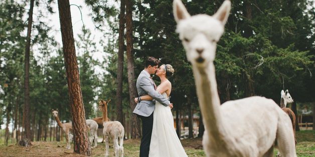 17 Well-Timed Wedding Photobombs That Will Crack You Up
