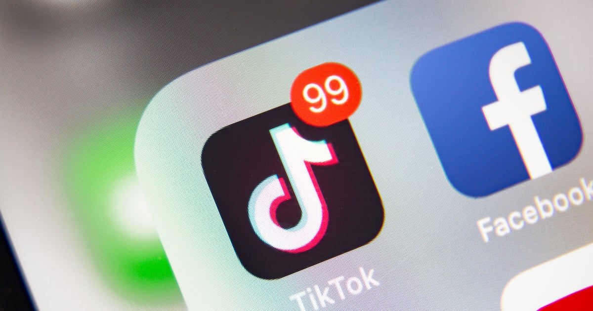 TikTok, Facebook OK’d Ads With Misinformation About Voting: Report TikTok, Facebook OK’d Ads With Misinformation About Voting: Report