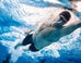 A Staggering Number Of Top Athletes Don't Sleep Well