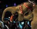 Greatest Show On Earth Shutting Down After 146 Years
