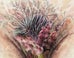 Artist's Unapologetic Vagina Paintings Are A Force Of Body Positivity