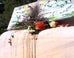 Police Say Fire At DC Memorial For Slain Muslim Teen Was 'Not A Hate Crime' Police Say Fire At DC Memorial For Slain Muslim Teen Was 'Not A Hate Crime'