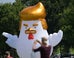 Monumental ‘Donald Trump Chicken’ Roosts Near The White House