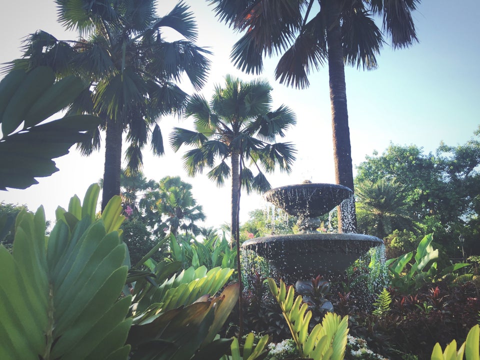 These Secret Gardens Are Perfect Little Surprises In Cities Around The World