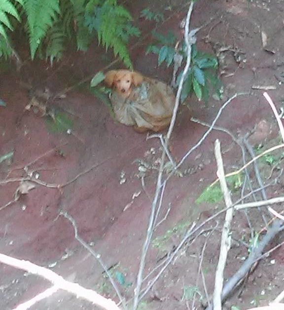 Marcia Lutz/Facebook