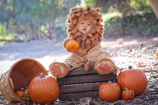 Baby Halloween Costumes Every Human Needs To See