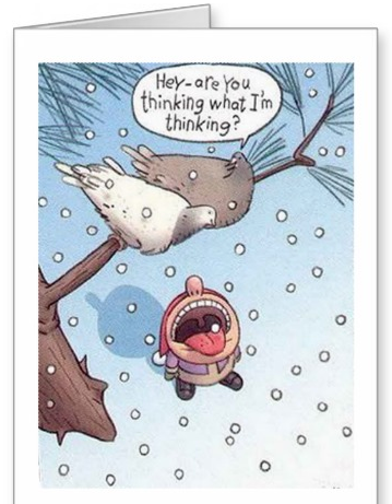 22 Ridiculously Awesome Holiday Cards You'll Actually Want To Send