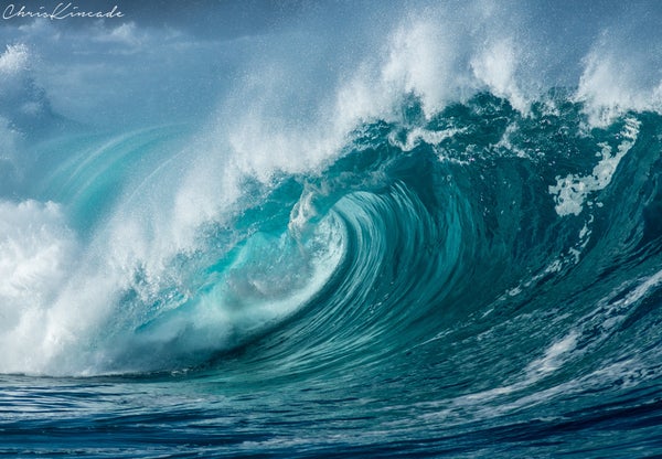 sea slater