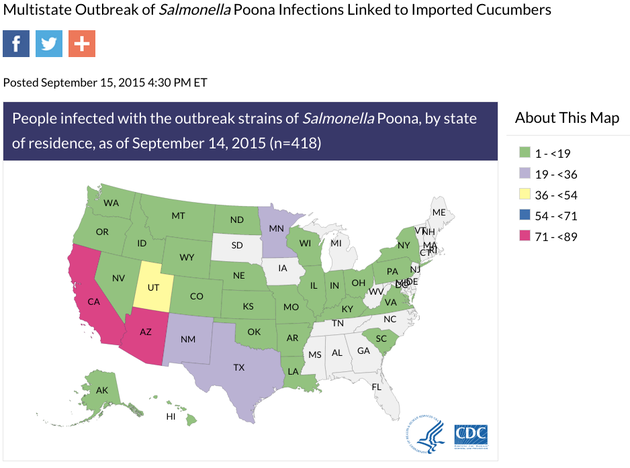 How Does Salmonella Typhimurium Spread