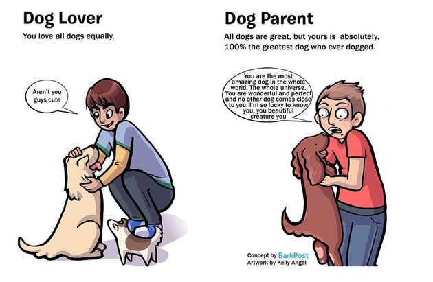 Hilarious Comic Nails What It’s Like To Be A Dog Parent vs. A Dog Lover 570291bc1500002a000b3f41