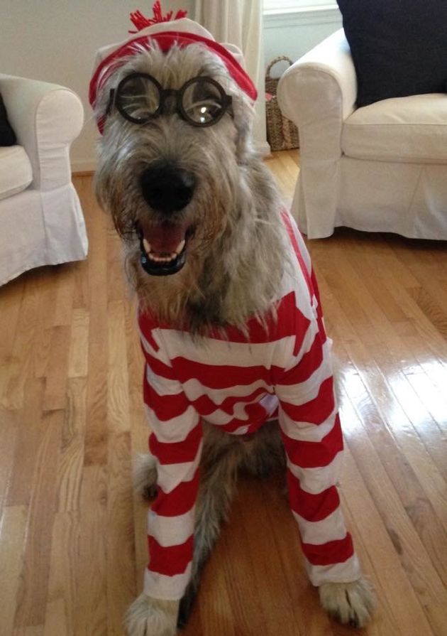 Woman And Her Dog Slay Halloween With Most Excellent 'Wayne's World