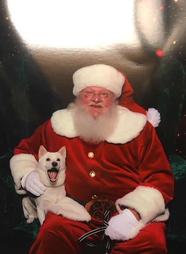 santa with dog figurine