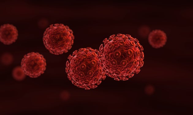 South African child 'virtually cured' of HIV South African child 'virtually cured' of HIV