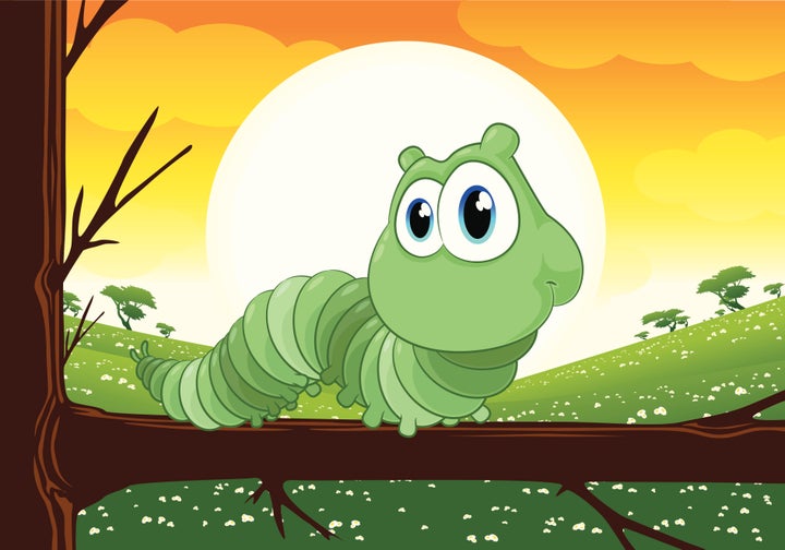 catterpillar essay catterpillar essay
