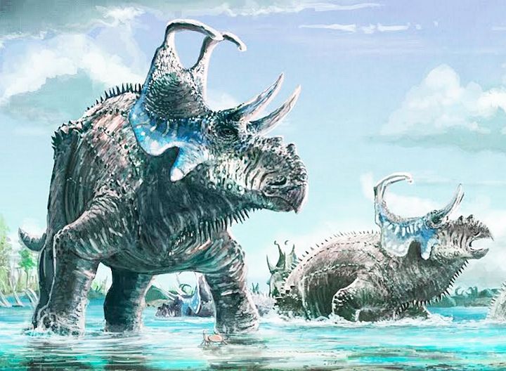 horned herbivore dinosaurs