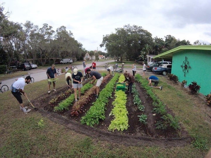 Florida Lawns Are Being Transformed Into Edible Farms HuffPost