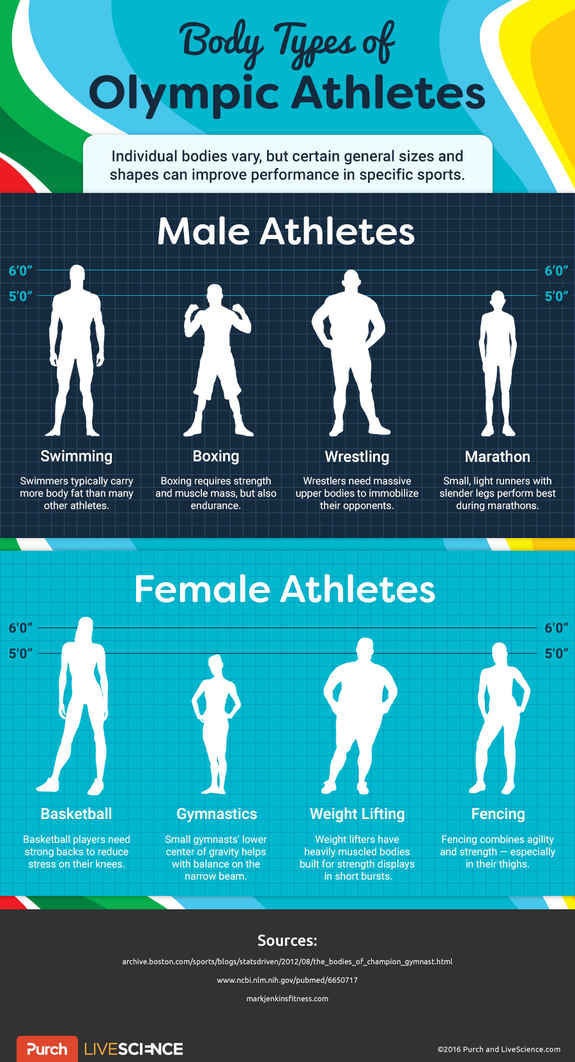 How Body Shape Influences Olympic Performance HuffPost