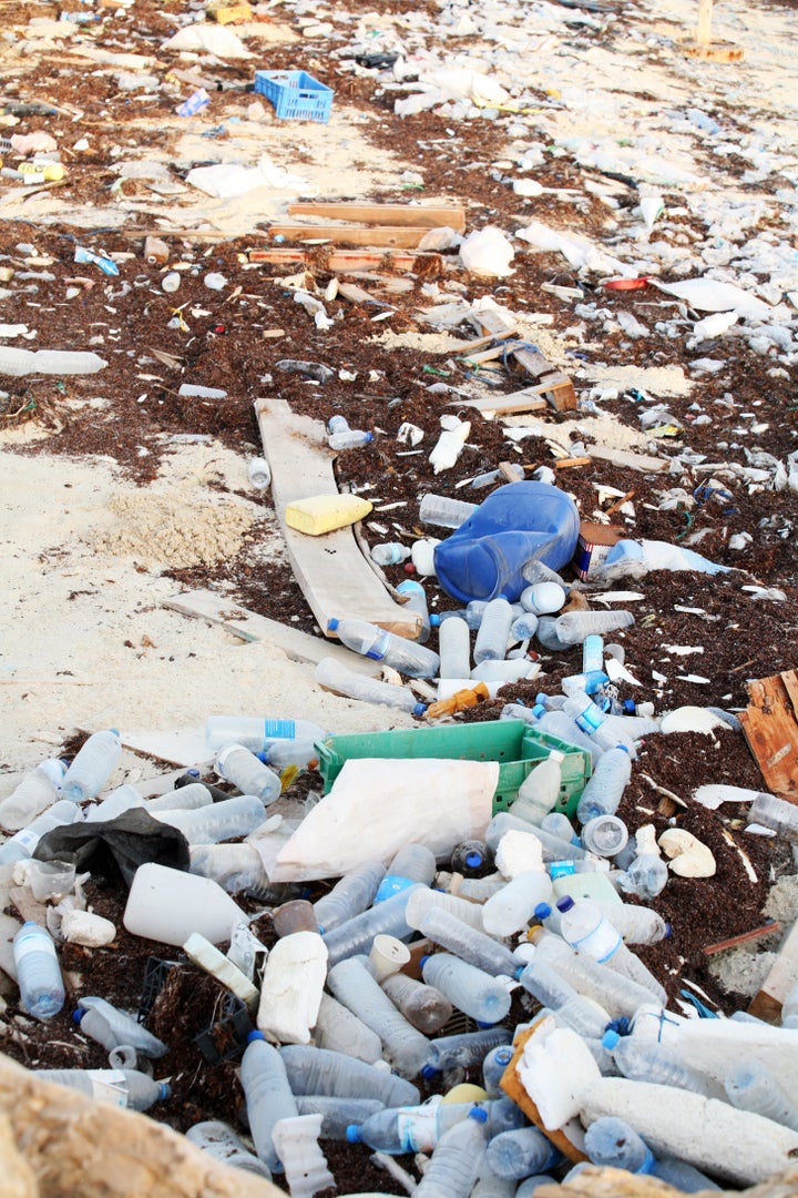 This New Shampoo Will Clean Your Hair — And The Oceans HuffPost