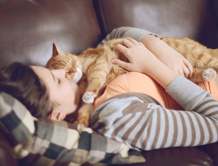 Become a Professional Cat Cuddler