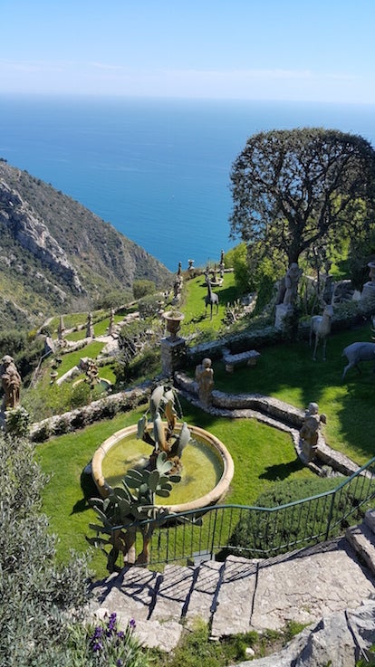 A garden with a whale pond