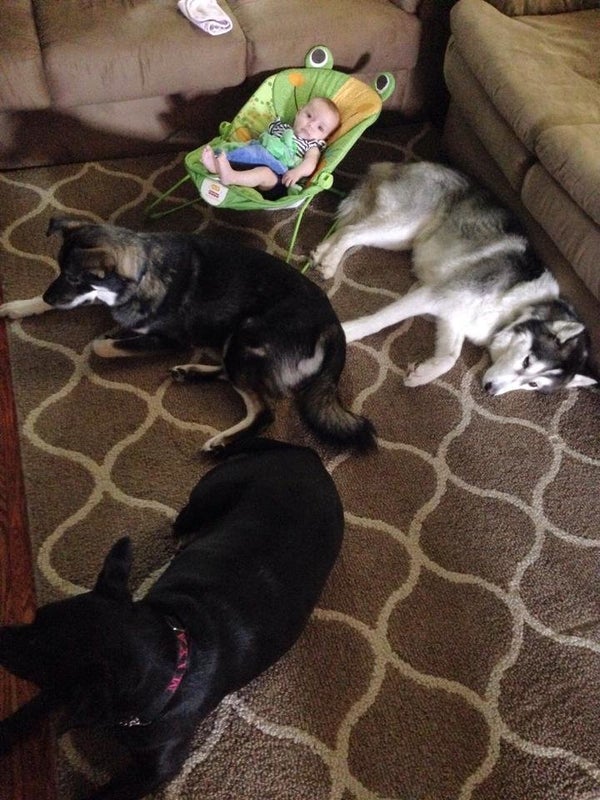 This Is Why Your Dog's Paws Smell Like Fritos HuffPost