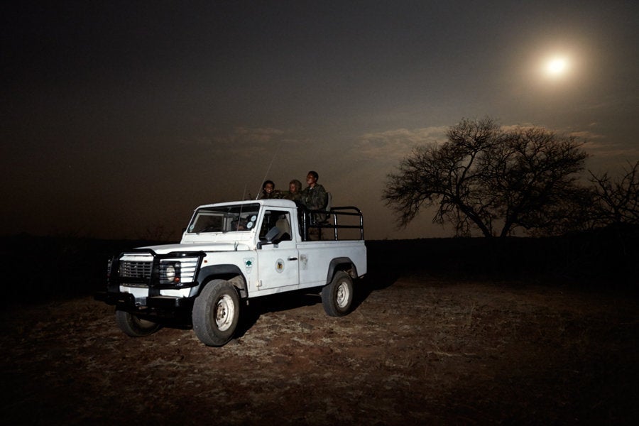 Most impressively, according to the United Nations, not a single rhino has been poached in ten months, while other reserves have lost around two dozen.