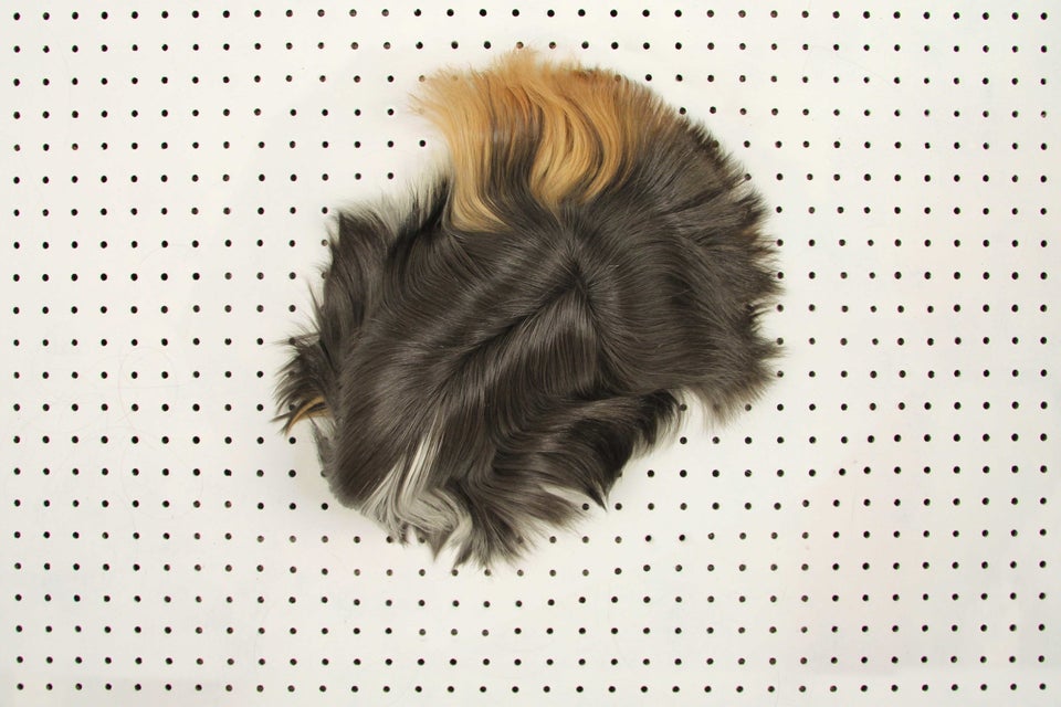 If You Can Tell The Difference Between A Guinea Pig And A Wig, You're Lying