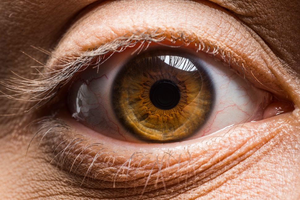 These Macro Photos Reveal The Awesome Diversity Of Human Eyes Huffpost 0708