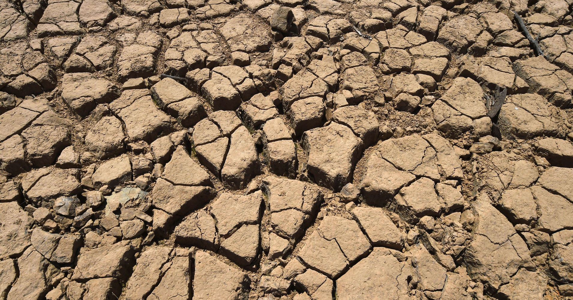 Study Finds Global Warming Has Made California's Drought Worse | HuffPost