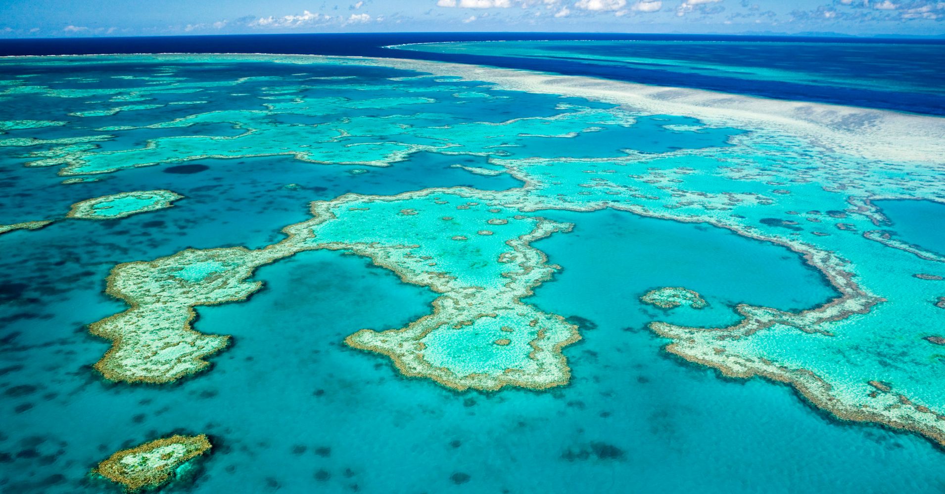 Saving The Great Barrier Reef Will Cost $6.3 Billion | HuffPost