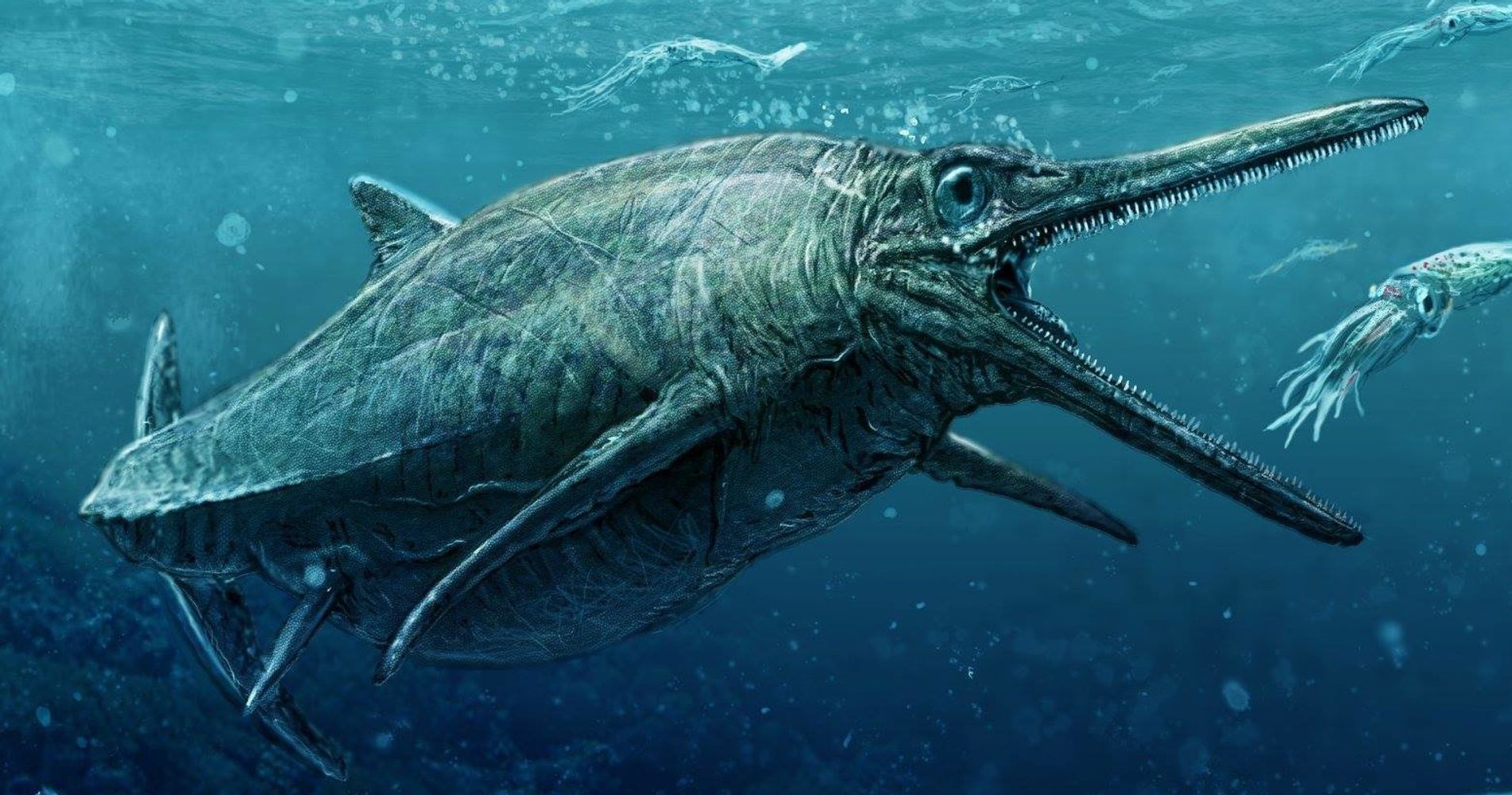 Nessie Who? Scotland's Real-Life 'Loch Monster' Unveiled | HuffPost