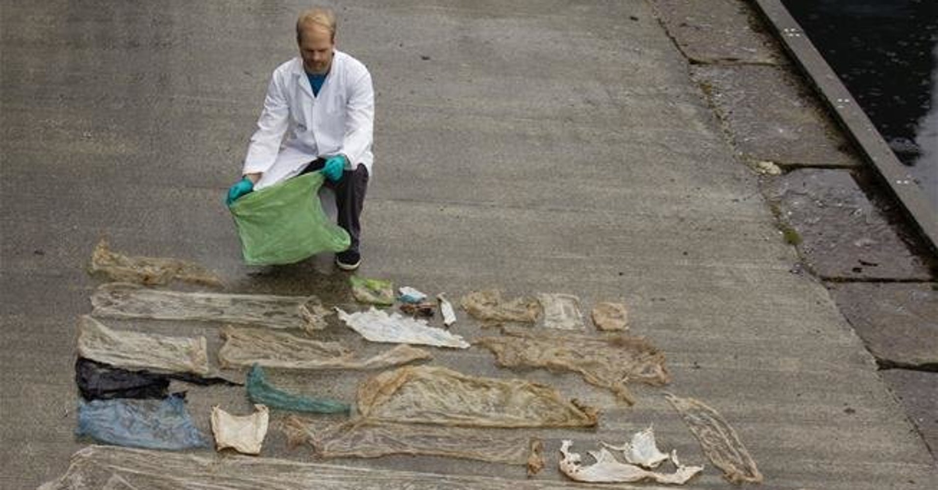 Beached Whale Found With 30 Plastic Bags Crammed In Its Belly | HuffPost