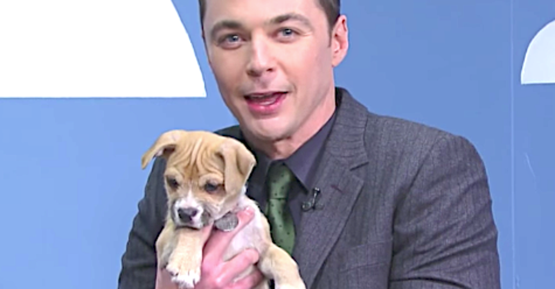 Jim Parsons Lies Through His Teeth To Find Puppies Their Forever Homes ...