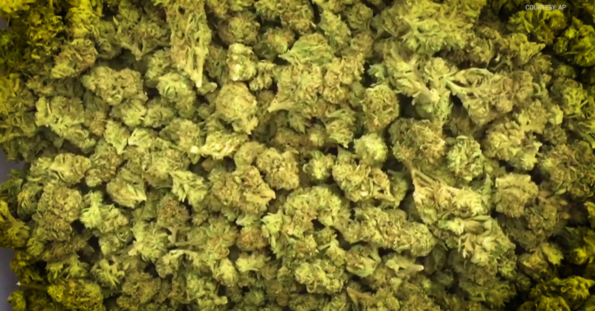 These Vintners In Oregon Are Growing Medical Marijuana | HuffPost