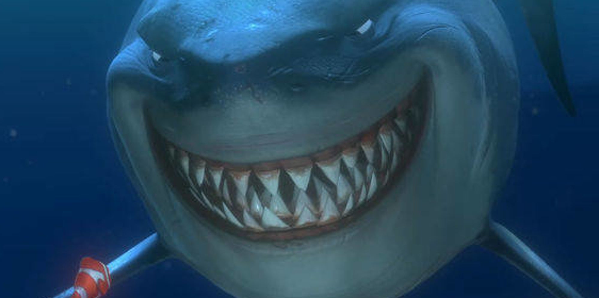 Smiling Lemon Shark Looks Just Like Bruce From 'Finding Nemo' | The ...