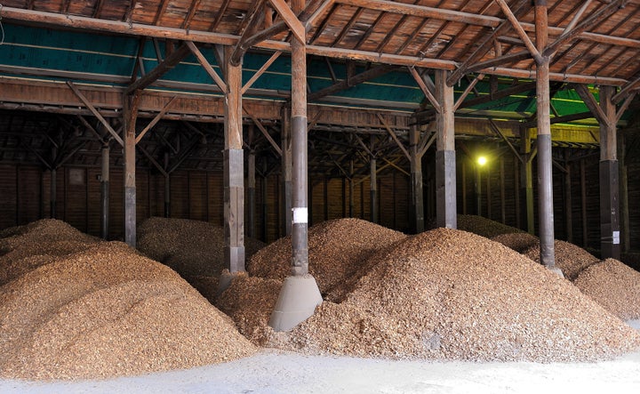 Chicory roots are stored at the 'Leroux chicoree' chicory processing factory, on April 5, 2013 in Orchies. AFP PHOTO PHILIPPE HUGUEN (Photo credit should read PHILIPPE HUGUEN/AFP/Getty Images)