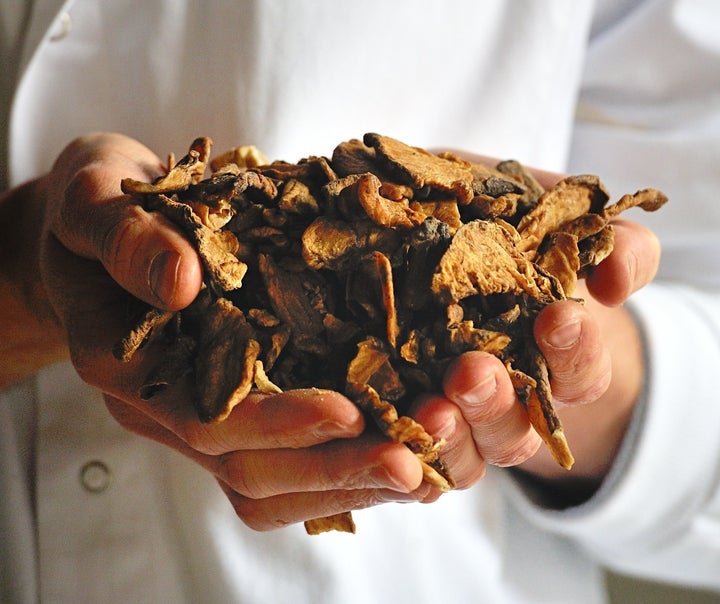 An employee holds chicory roots at the 'Leroux chicoree' chicory processing factory, on April 5, 2013 in Orchies. AFP PHOTO PHILIPPE HUGUEN (Photo credit should read PHILIPPE HUGUEN/AFP/Getty Images)