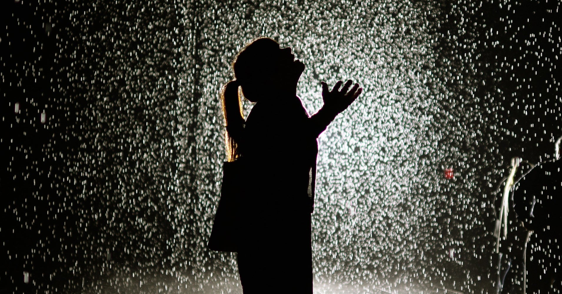 The 'Rain Room' Is Coming To Los Angeles, Not To Be Confused With