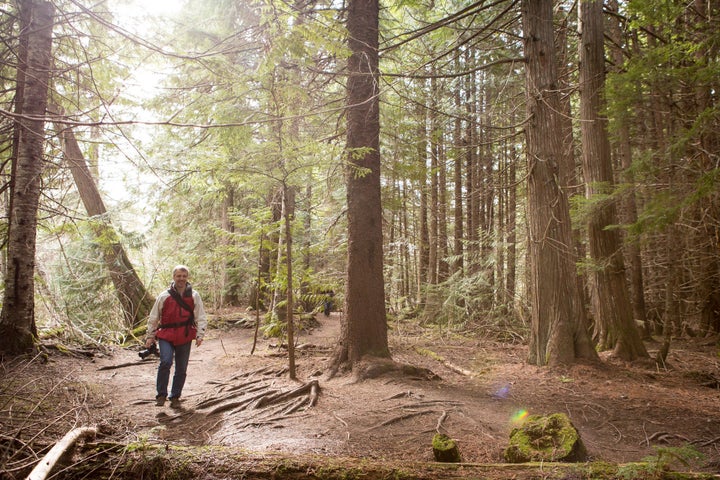 Nature Walk, TEDActive 2015 - Truth and Dare, March 16-20, 2015, Whistler Convention Centre, Whistler, Canada. Photo: Marla Aufmuth/TED