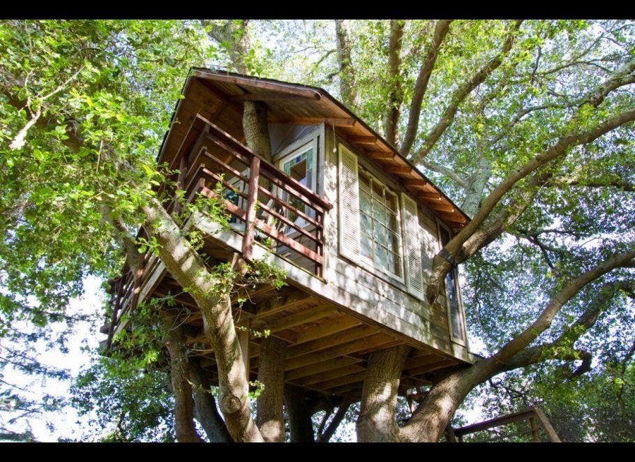 Tree Houses You Can Live In Huffpost Life Tree Houses You Can Live In