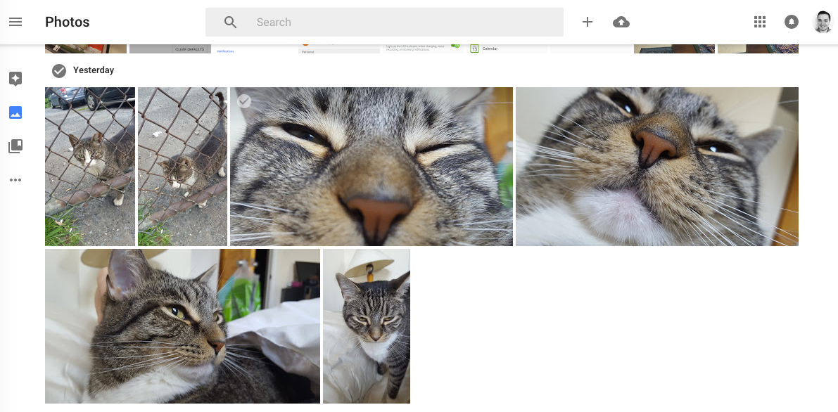 uninstall google photos backup