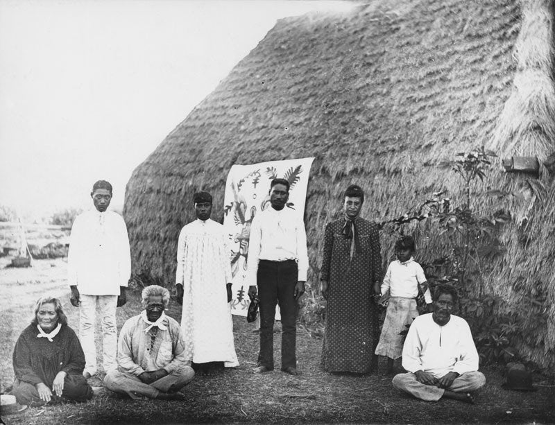 A group of Native Hawaiian men, women and a girl, standing and sitting in front of a thatched dwelling on the island of Niihau in the 1880s.