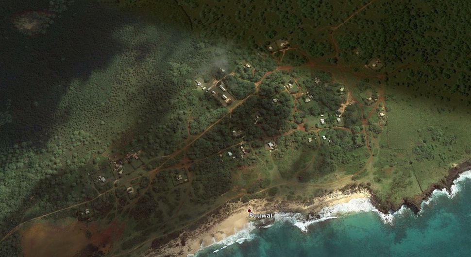 Puuwai, the island of Niihau's only settlement, as seen from Google Earth.