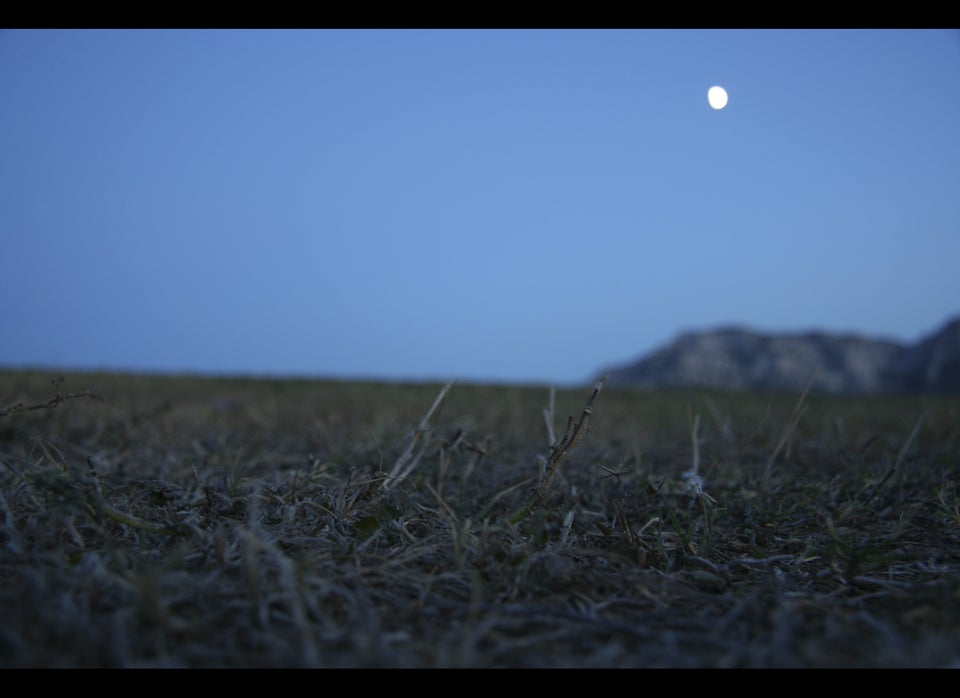 Insect Noises At Night In An Open Field