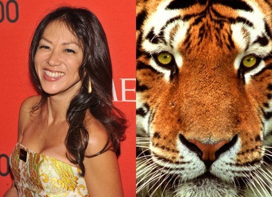 Tiger mothers: Are real tigers as tough on their young as Amy Chua?