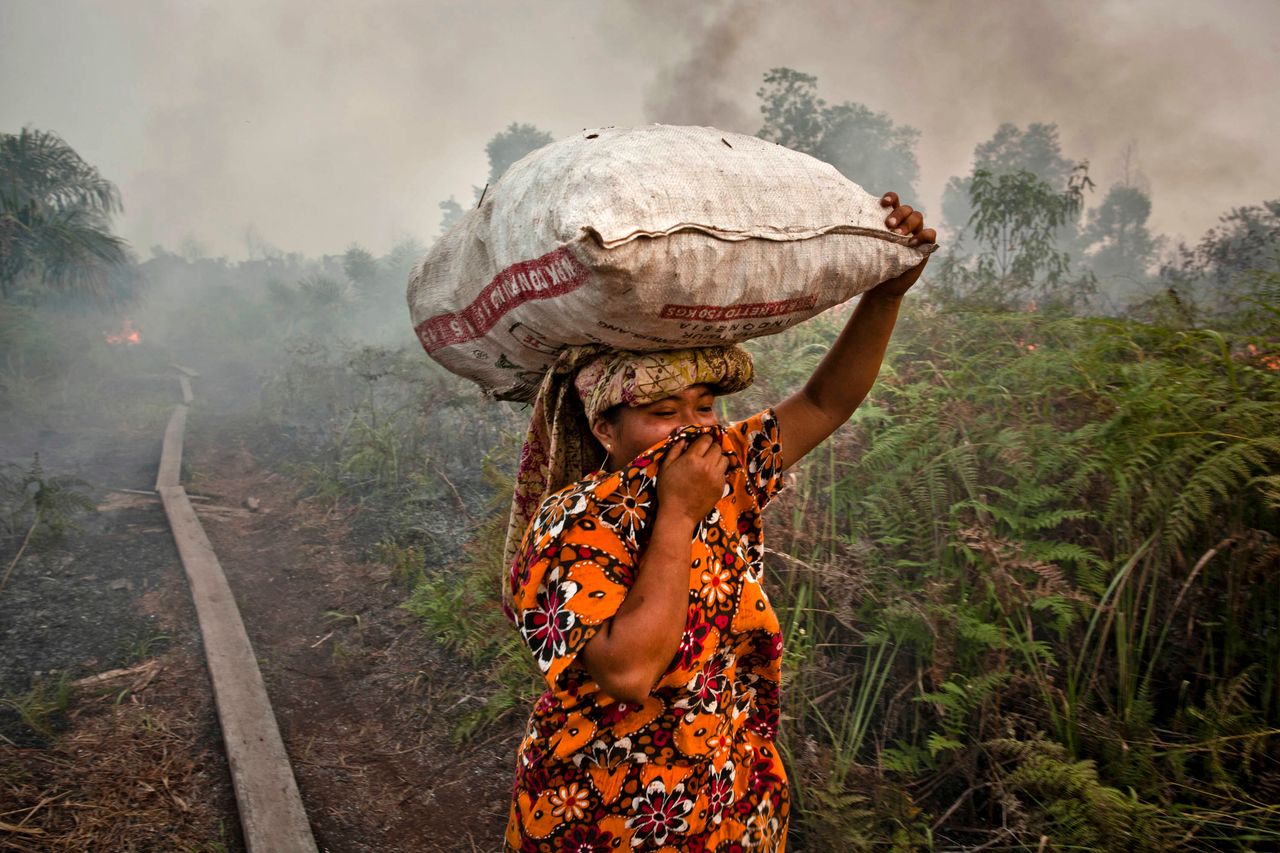<p>A woman walks through haze as a forest fire burns bushes and fields on June 27, 2013 in Siak Regency, Riau Province, Indonesia. The fires on Sumatra have caused record smog in Malaysia and Singapore. Sumatra has stepped up efforts to fight the fires to relieve the conditions.</p>